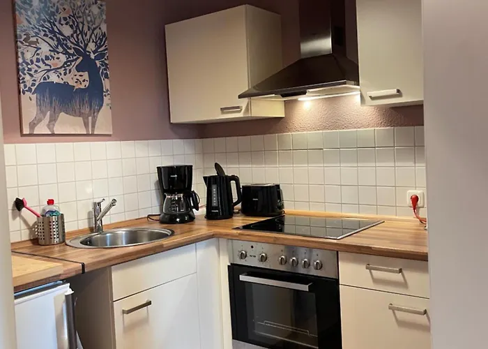 Weinblick Radebeul, Dresden